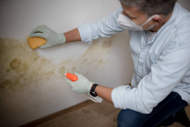 Best Crawl Space Mold Removal  in Heritage Village, CT