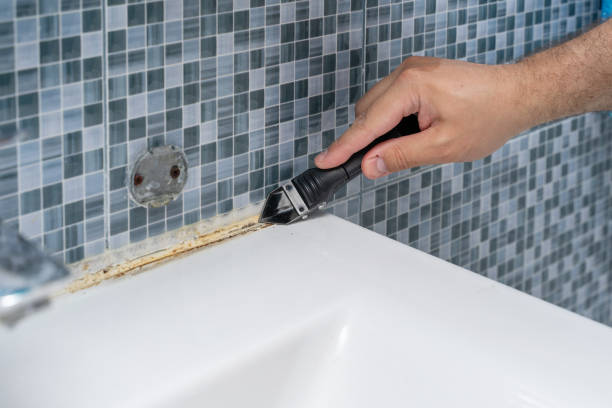 Best Best Mold Removal Companies  in Heritage Village, CT