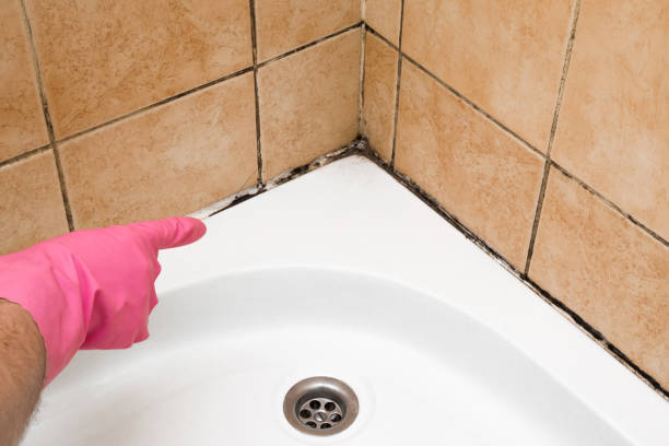 Best Mold Cleaning Services  in Heritage Village, CT